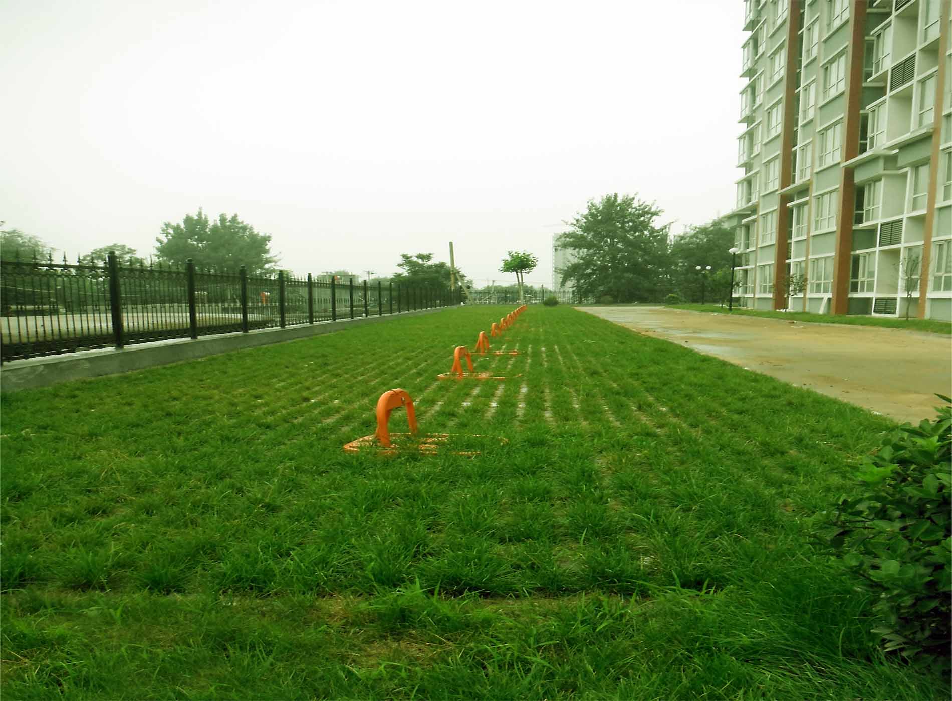 DSCF0251.jpg