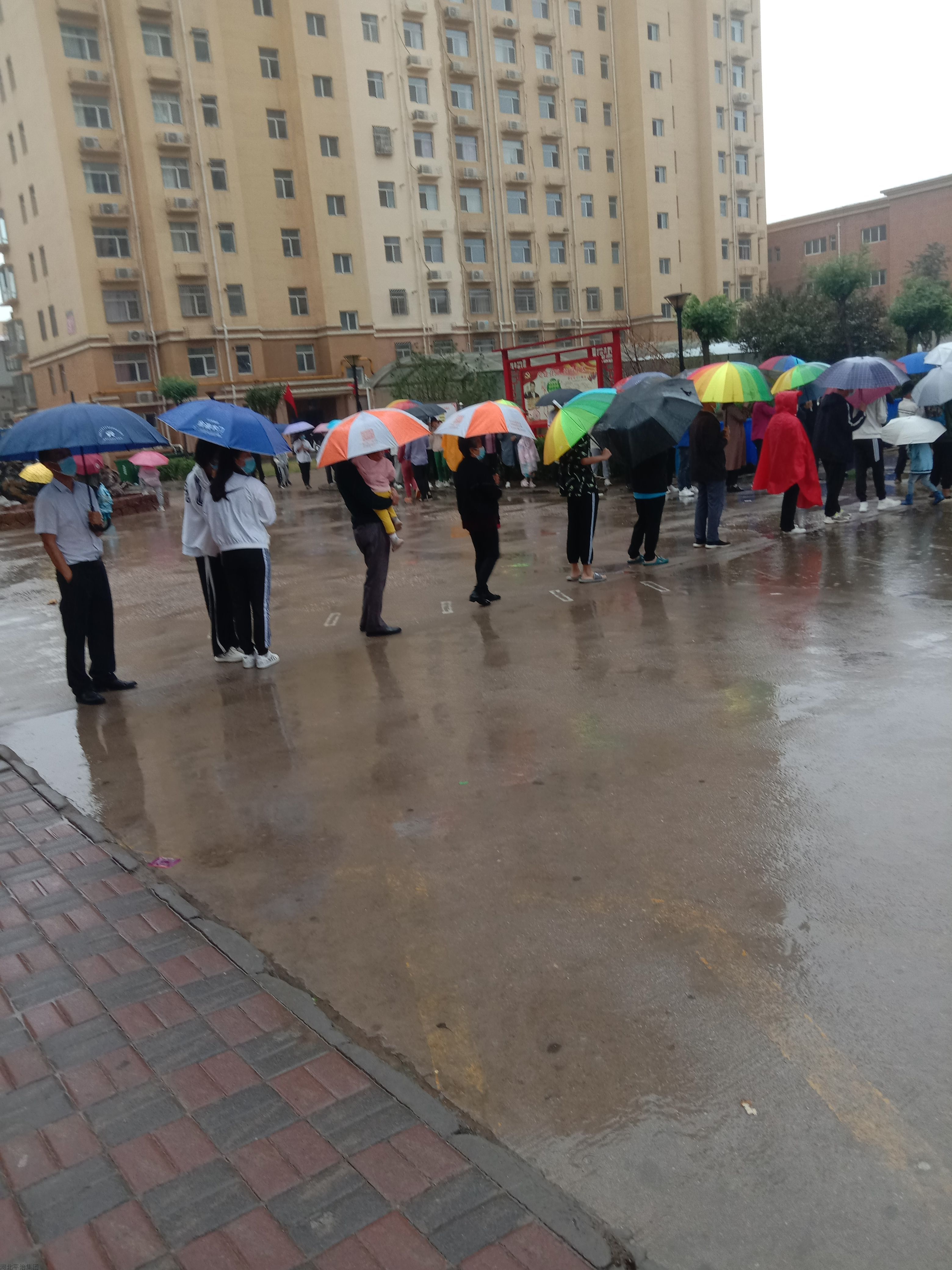 组织核酸中.jpg